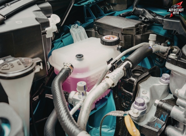 Exotic Car Cooling System Repair Near Me