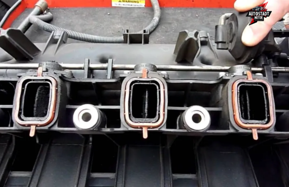 Swirl Flap Repair Near Me