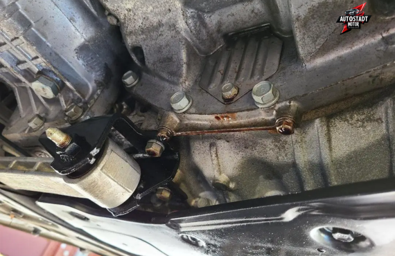 Hyundai Oil Leak Repair