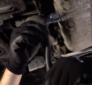 Citroen Oil Change