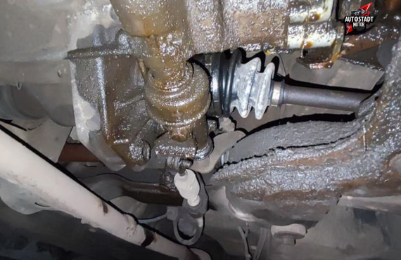 Suzuki Oil Leak Repair