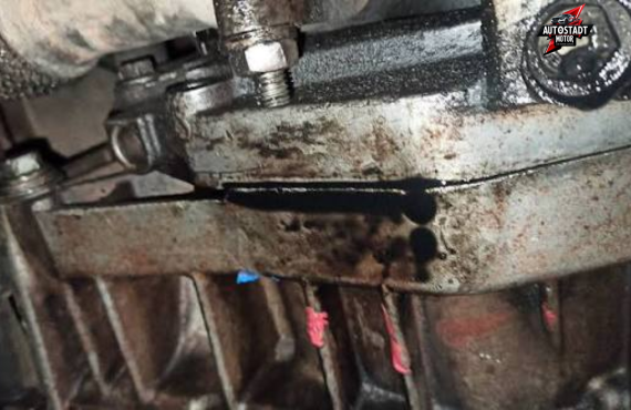 Fiat Oil Leak Repair