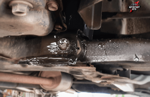 Volkswagen Steering Oil Leak Repair