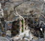 Mitsubishi coolant leak repair