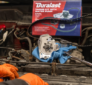 Opel water pump repair