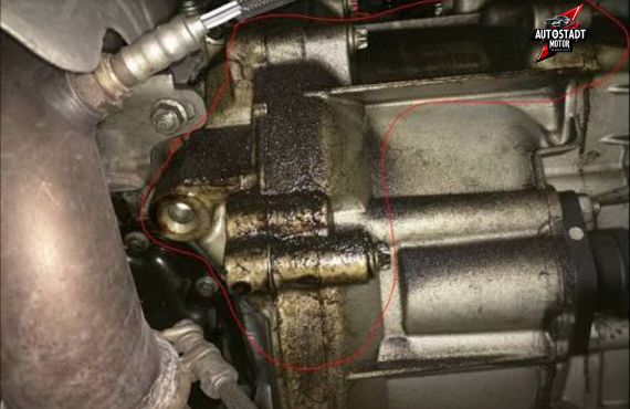 Mini Cooper oil leak repair
